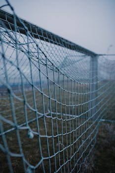 pexels-cannuo-4203241