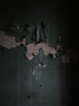 norppa_kasino_interior