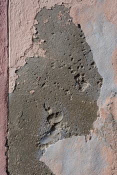 understanding-decision-making