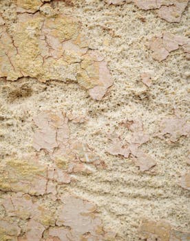 online loan application