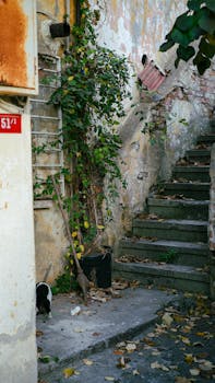 {customer_support_form}