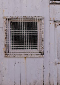 pexels-bence-benko-5877448