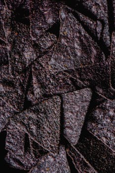 poker chips and casino tokens