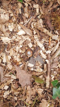 financial documents analysis