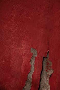 pexels-kristina-pauksas-7084378