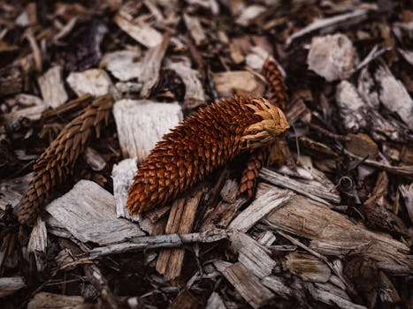 game design and branding