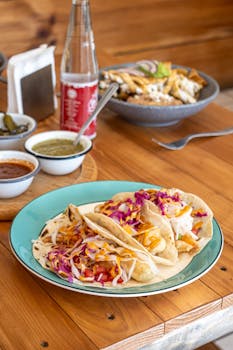 online casino free bonus