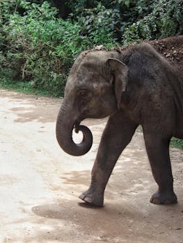 casino-games-in-action