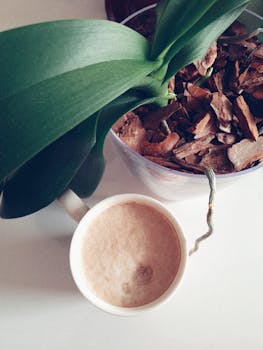 casino_vastuullisuus_pexels