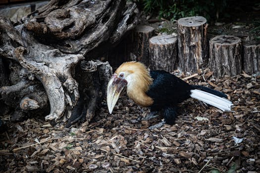 pexels-stocks-casino-tradition