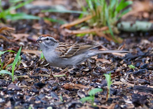 digital banking Finland