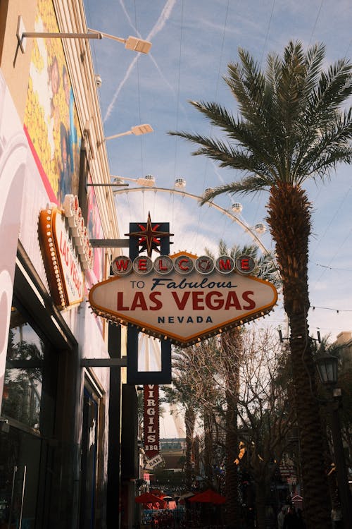 {financial-dashboard}