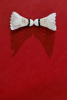 pexels-cinema-1317806