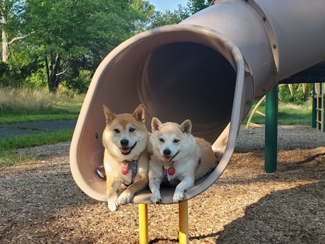 responsible_gambling_pexels