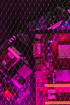 loyalty points activity