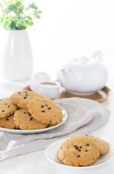 casino-money-finance