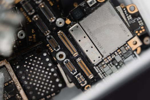 student playing roulette