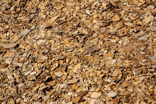 pexels_online-finance