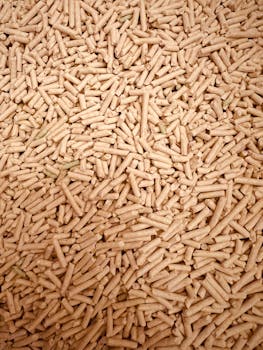 player_experience_positive_feedback