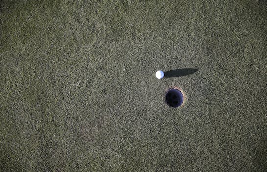 {visualization_of_interest_rate_calculation}_pexels.com