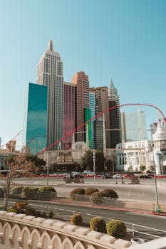 digital support team