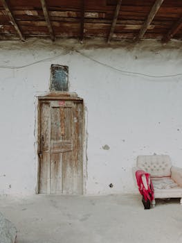 pexels-finance-illustration