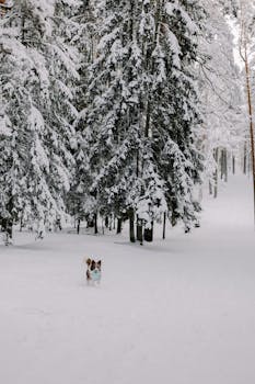 norwegian credit card advantages