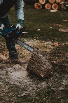 pexels-andrea-piacquadio-3772619