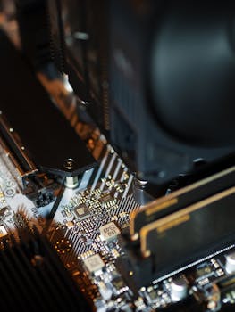 casino loyalty programs