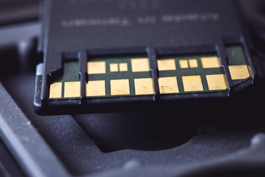 {interest-rate-trends}