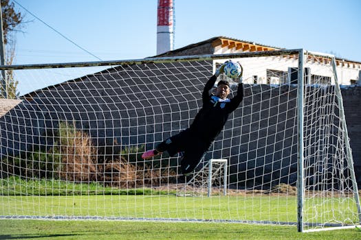 professional legal documents