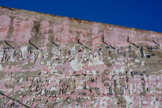 pexels-marcus--myers-7719360