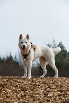 credit_risk_lenderspexels