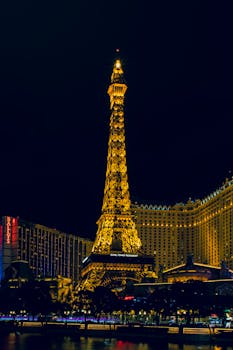 pexels-matheus-angeloni-2772431