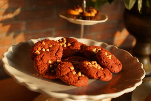 casino bonus comparison