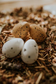poker game on laptop