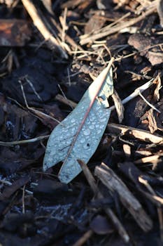 mobile_casino_interaction