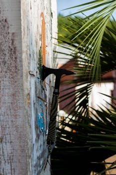 player_feedback_matched_expectations