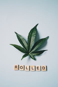 financial district on pexels