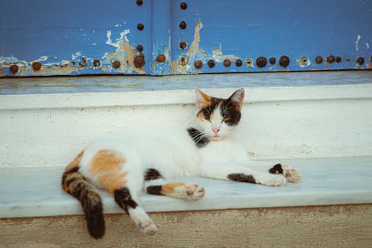 casino_suomi_pelipaikat