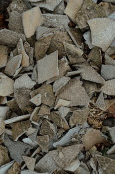 mobile gaming on pexels