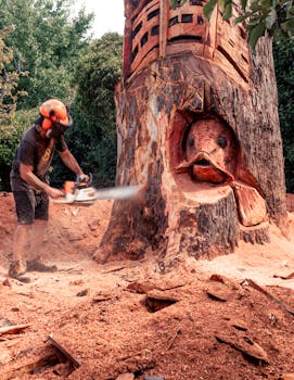 auto-ownership-pexels