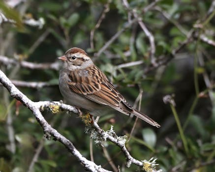 credit card lock and unlock process