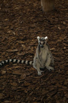pexels-casino-table-1