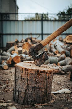 online gambling victory